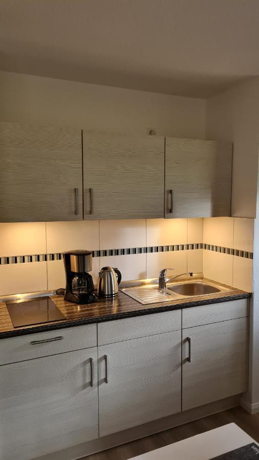 Ferienwohnung Braunlage - Gemuetliche Auszeit Εξωτερικό φωτογραφία