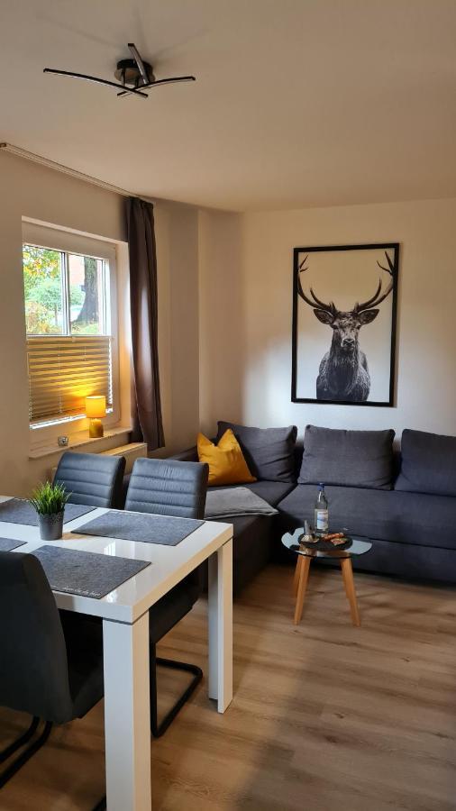 Ferienwohnung Braunlage - Gemuetliche Auszeit Εξωτερικό φωτογραφία
